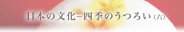 {̕|lĜ낢iZj