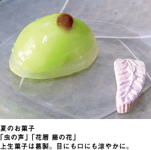 S͊OAЂ炬